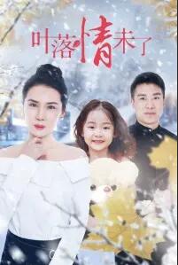 叶落情未了(全集)