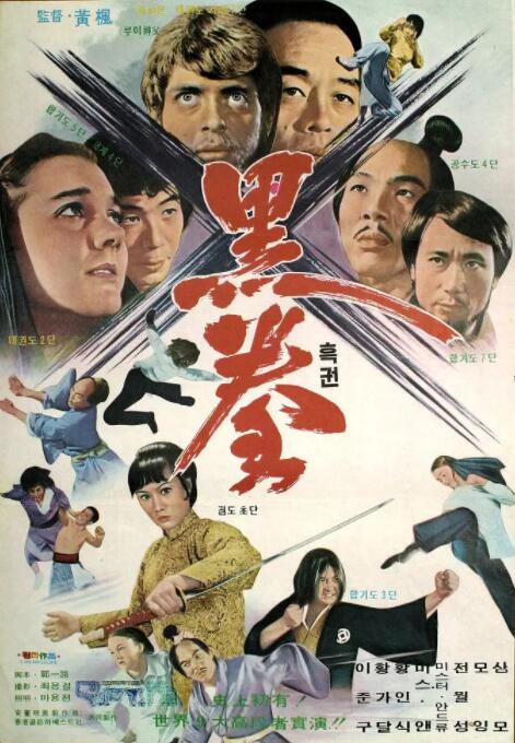 跆拳震九州(全集)