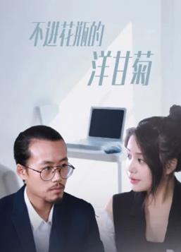 不进花瓶的洋甘菊全集