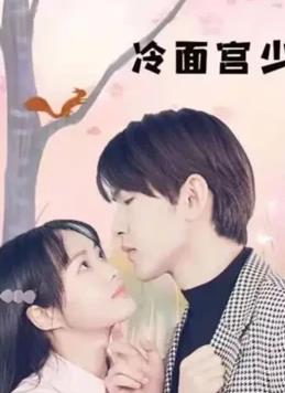 冷面宫少的小甜妻全集