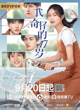 我奇怪的17岁全集