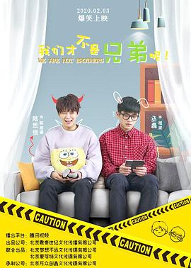 我们才不是兄弟呢全集