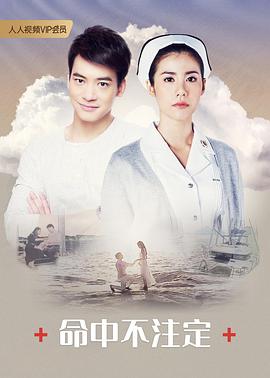 命中不注定全集