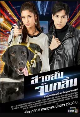 侦探K9普国语全集