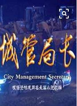 城管局长全集