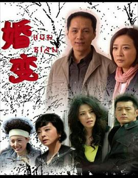 婚变全集