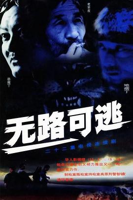 无路可逃2004全集