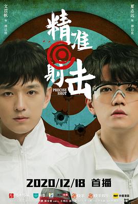 精准射击全集