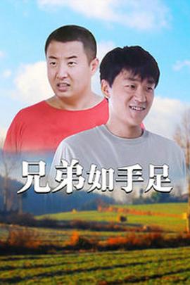 兄弟如手足全集
