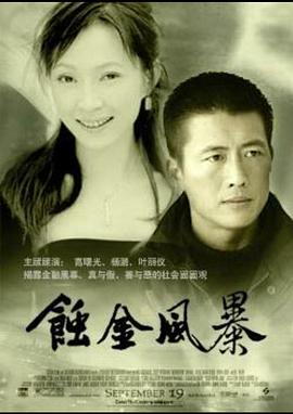 蚀金风暴全集