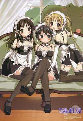 这就是我的主人全集