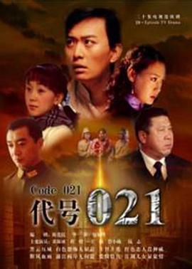代号021全集