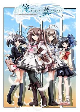 我们没有羽翼全集