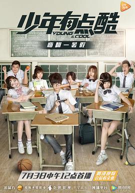 少年有点酷全集