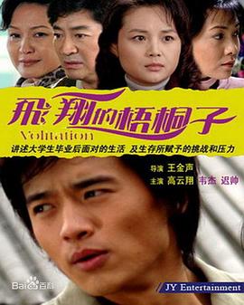 飞翔的梧桐子全集