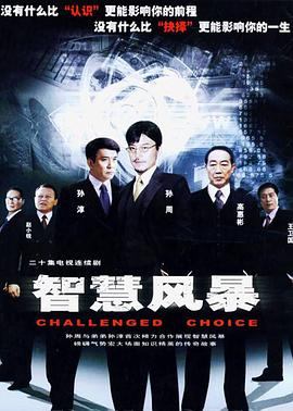 智慧风暴全集