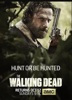 行尸走肉第五季全集