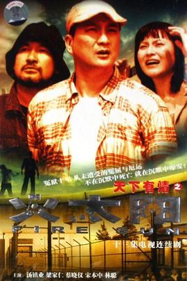 天下有情之火太阳国语全集