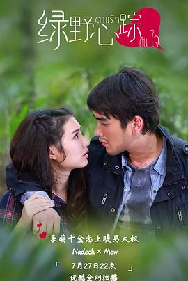 绿野心踪TV版全集