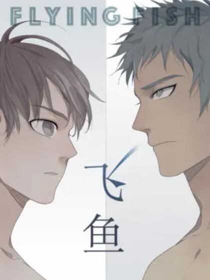 飞鱼全集