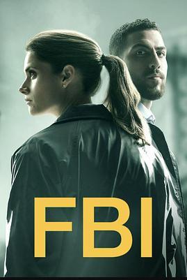 联邦调查局第二季全集