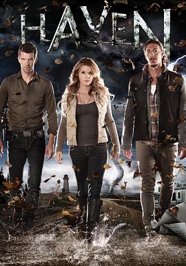 港湾第五季全集