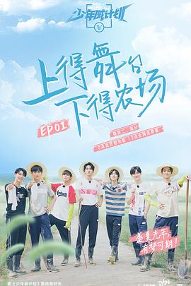 少年威计划全集