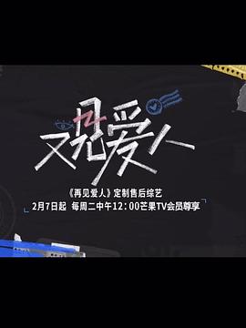 又见爱人全集