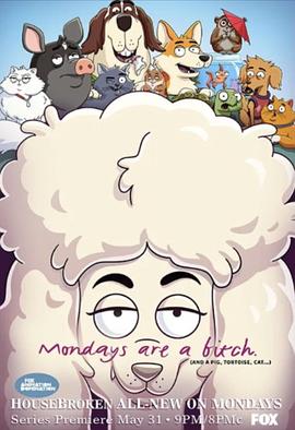 宠宝话疗团第一季全集