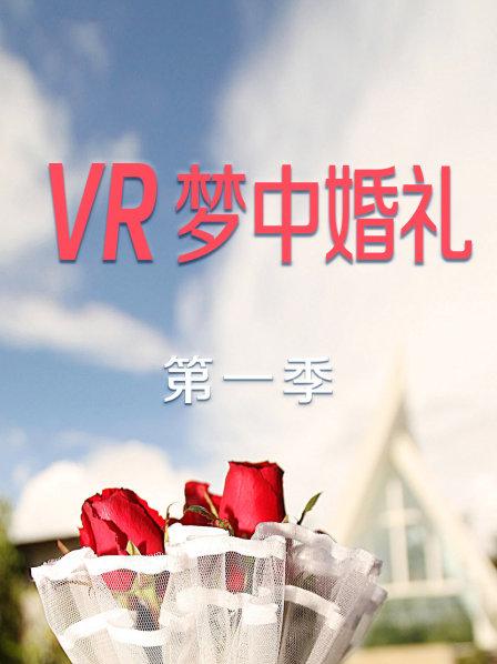 VR梦中婚礼第一季全集