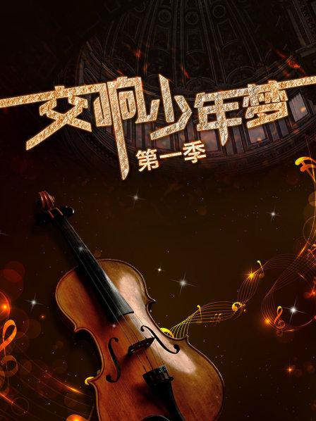 交响少年梦第一季全集