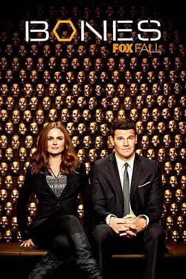 识骨寻踪第九季全集