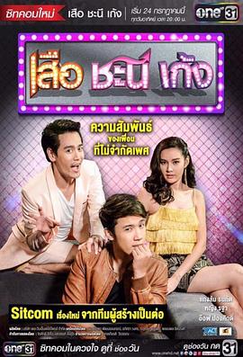 夏日菊花茶全集