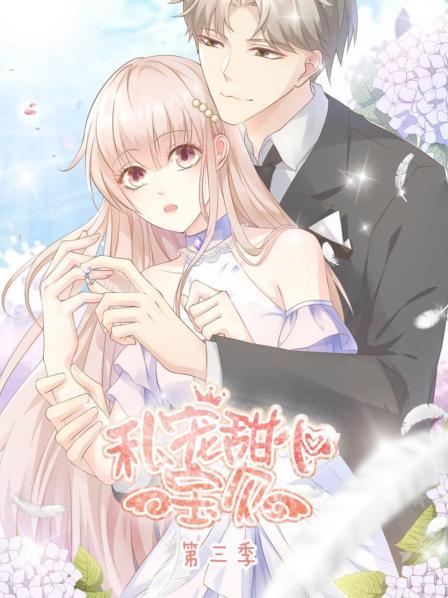 私宠甜心宝贝第三季全集