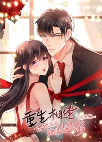 重生相逢：给你我的独家宠溺 动态漫画全集