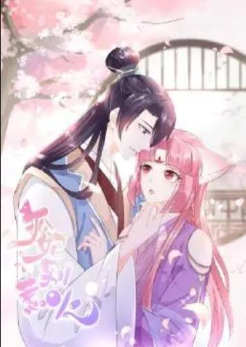 狐妃，别惹火全集