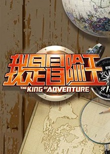 我是冒险王2013全集