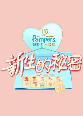 新生的秘密全集