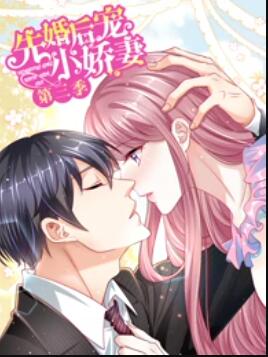 先婚后宠小娇妻第三季全集