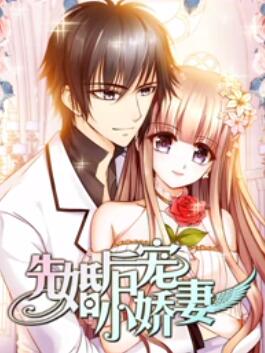 先婚后宠小娇妻第一季全集