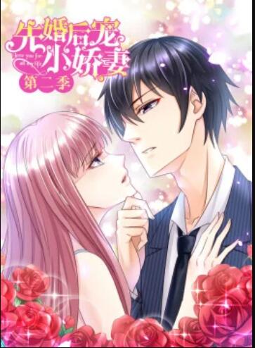 先婚后宠小娇妻第二季全集