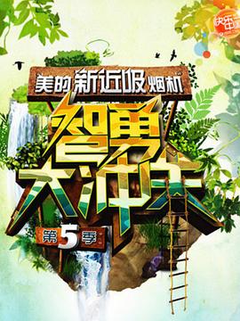 智勇大冲关第五季全集