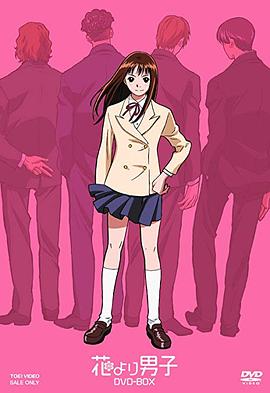 流星花园 动漫版全集