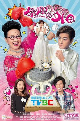 灿烂的外母粤语全集