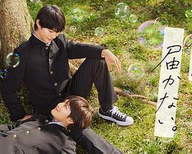 无法传达给你全集