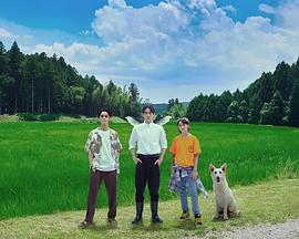 天狗的厨房全集