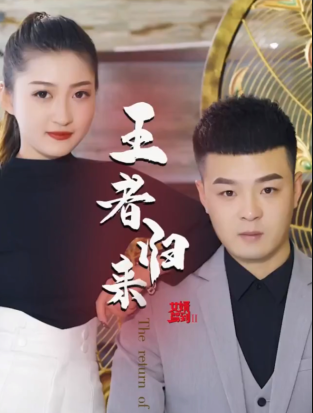 女婿驾到②王者归来全集