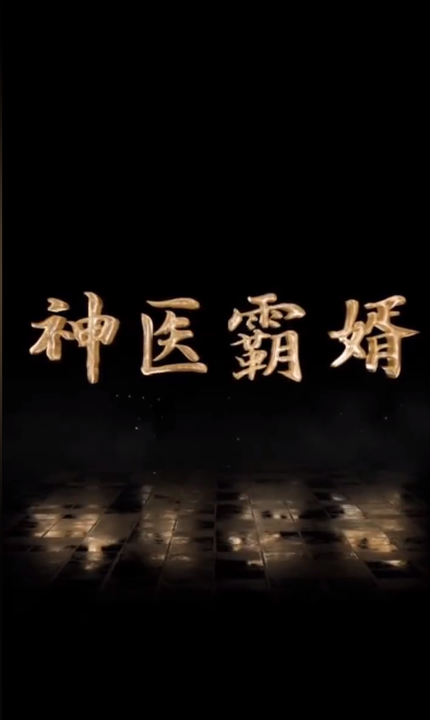 神医霸婿全集