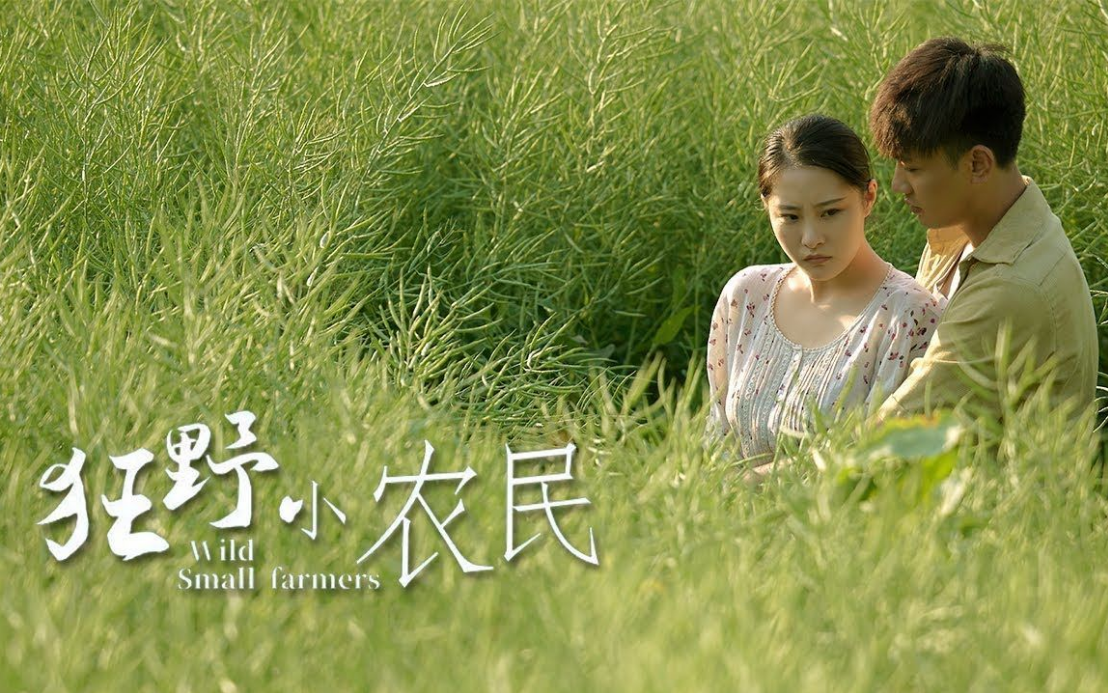 狂野小农民全集