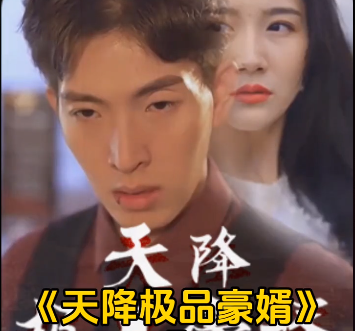 天降极品豪婿全集